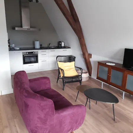 Historic Renovated With Balcony And Garden View Apartment Gouda